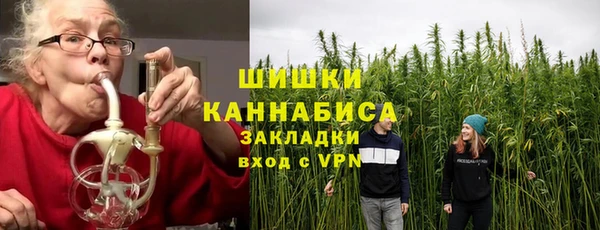 прущие грибы Алзамай