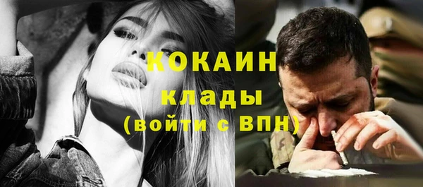 прущие грибы Алзамай