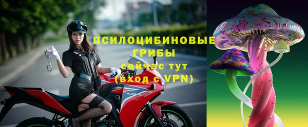 дживик Алексин
